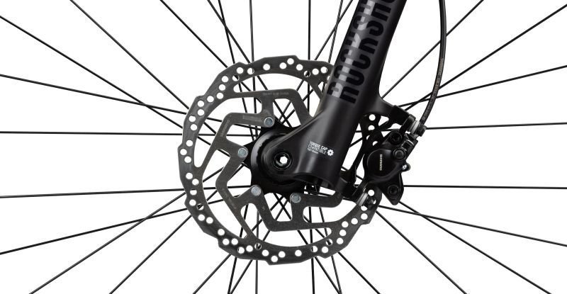 Radon JEALOUS AL 6.0 – Bild 3