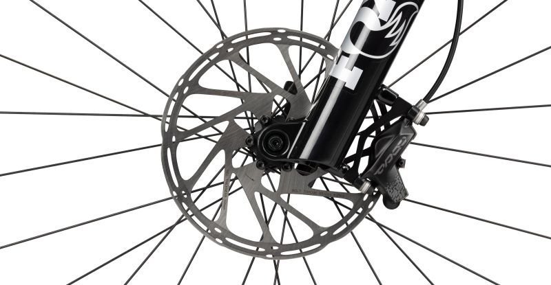 Radon SWOOP AL 9.0 – Bild 9